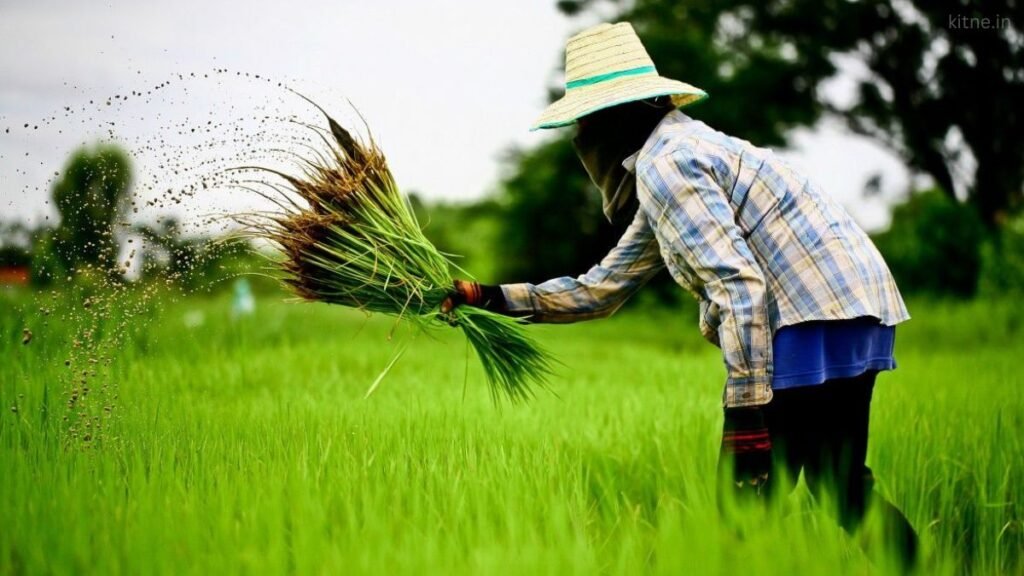 Vanijya Krishi Kitne Prakar or Tarikon Se Ki Jaati Hai