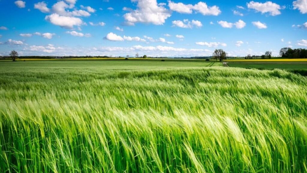 Vanijya Krishi Kitne Prakar or Tarikon Se Ki Jaati Hai