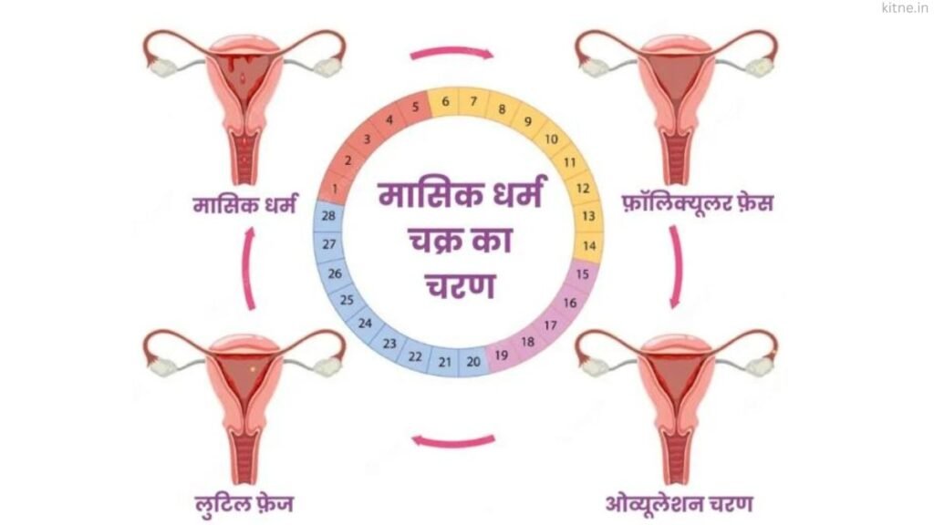 Period Ke Kitne Din Baad Pregnant Hoti Hai Mahila