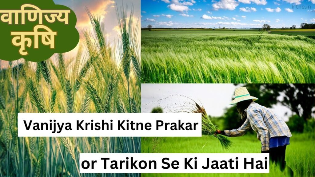 Vanijya Krishi Kitne Prakar or Tarikon Se Ki Jaati Hai