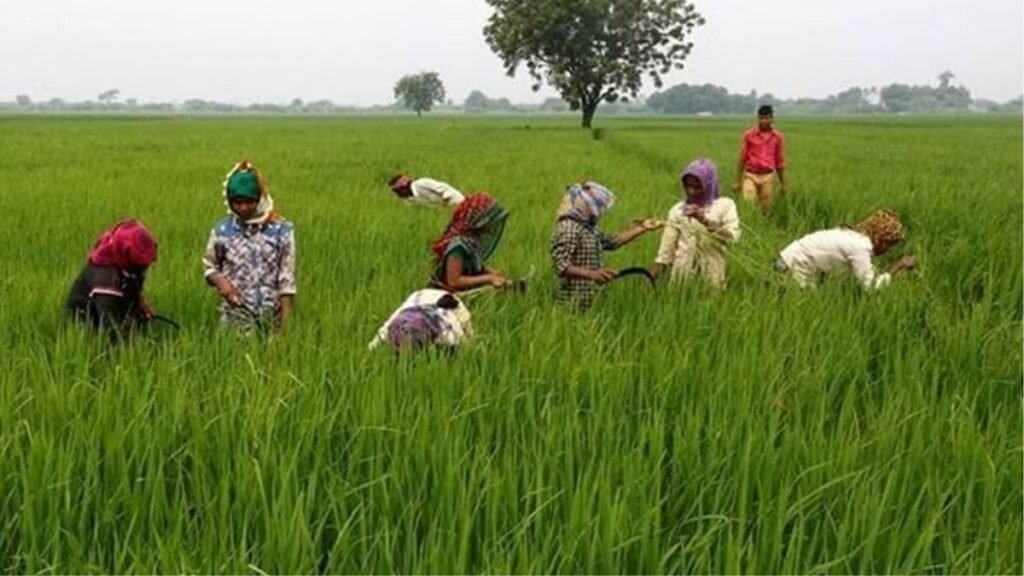 Vanijya Krishi Kitne Prakar or Tarikon Se Ki Jaati Hai